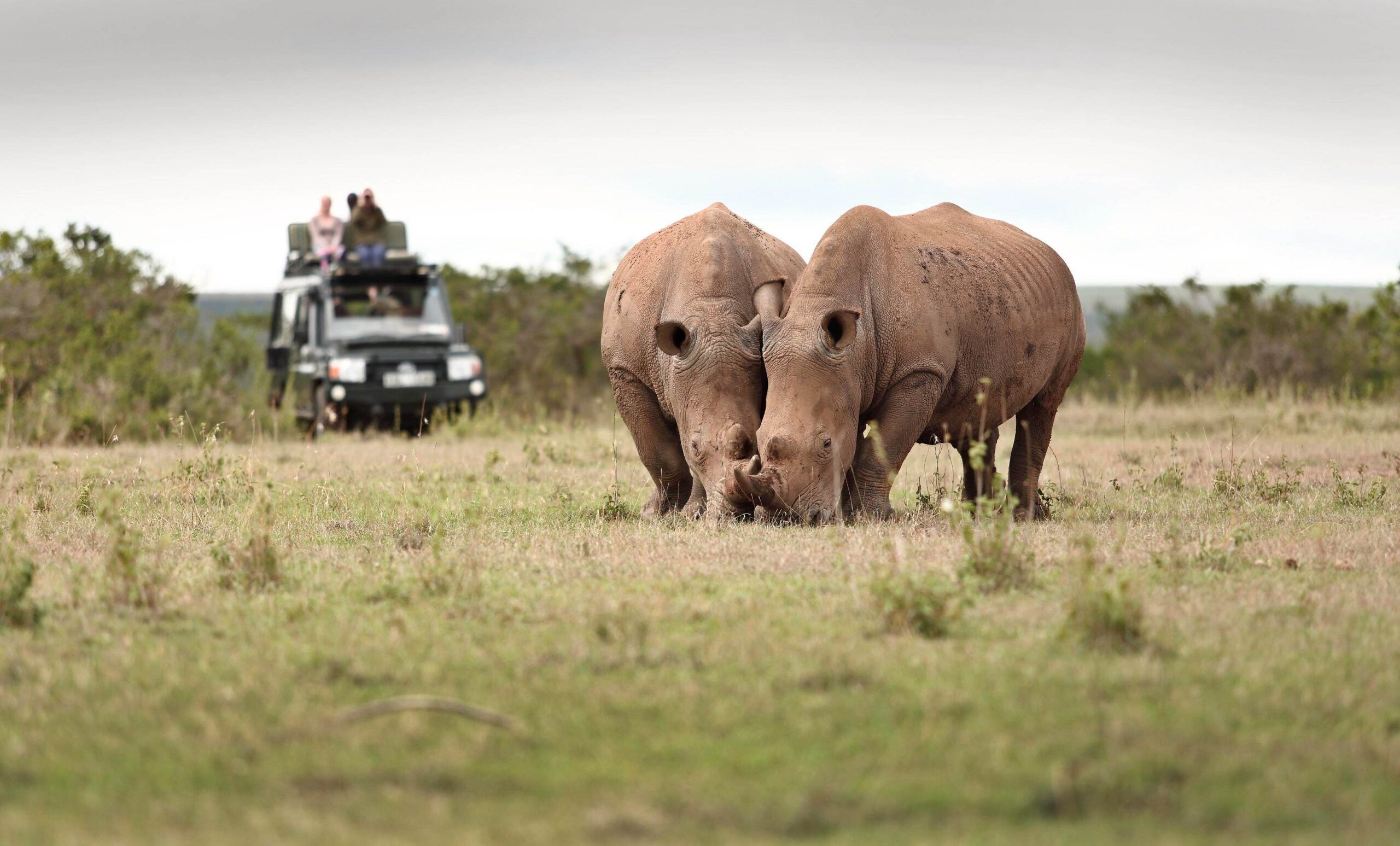 Solio Ranch / Solio Game Reserve