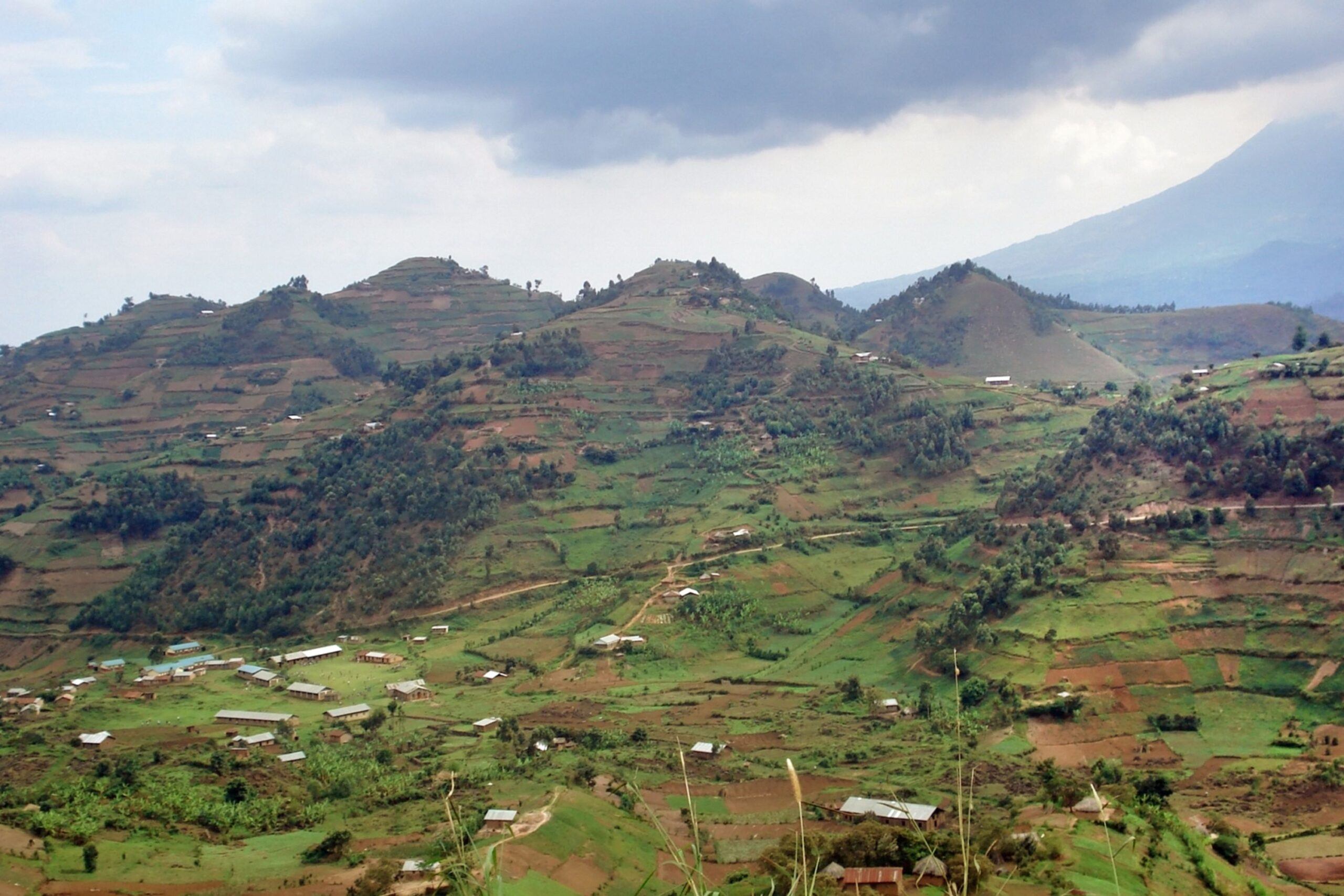 Rit van Queen Elizabeth National Park naar Mgahinga Gorilla National Park