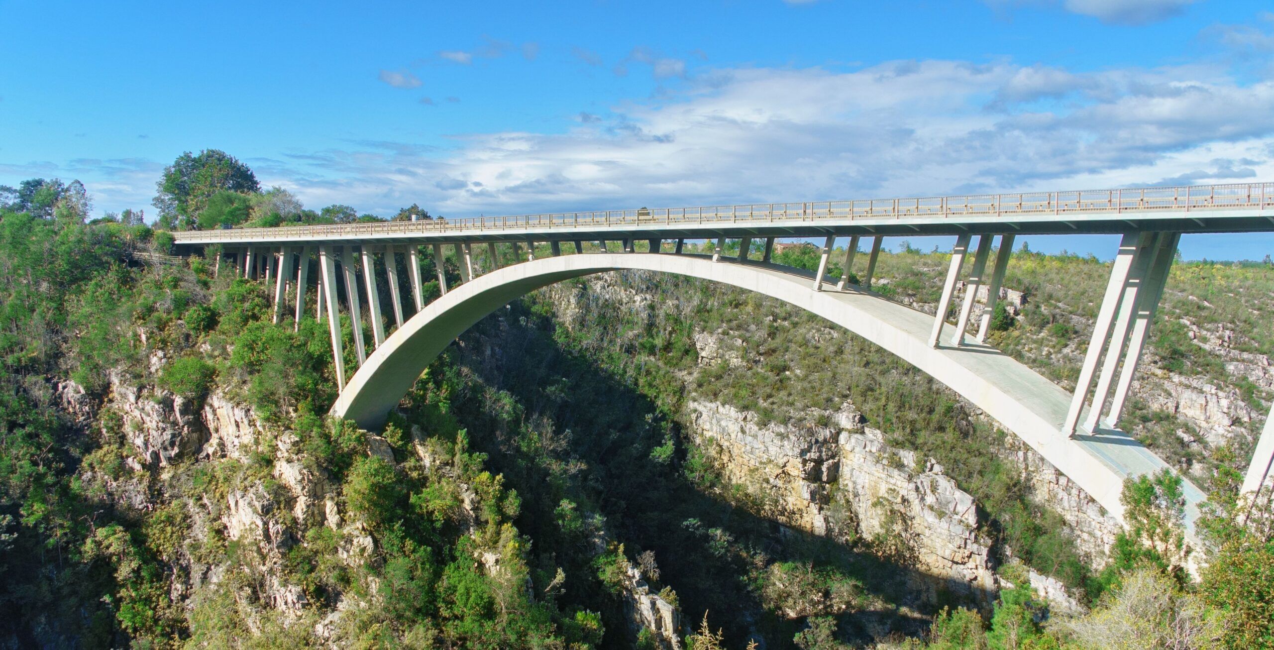 Rit van Plettenberg Bay naar Tsitsikamma