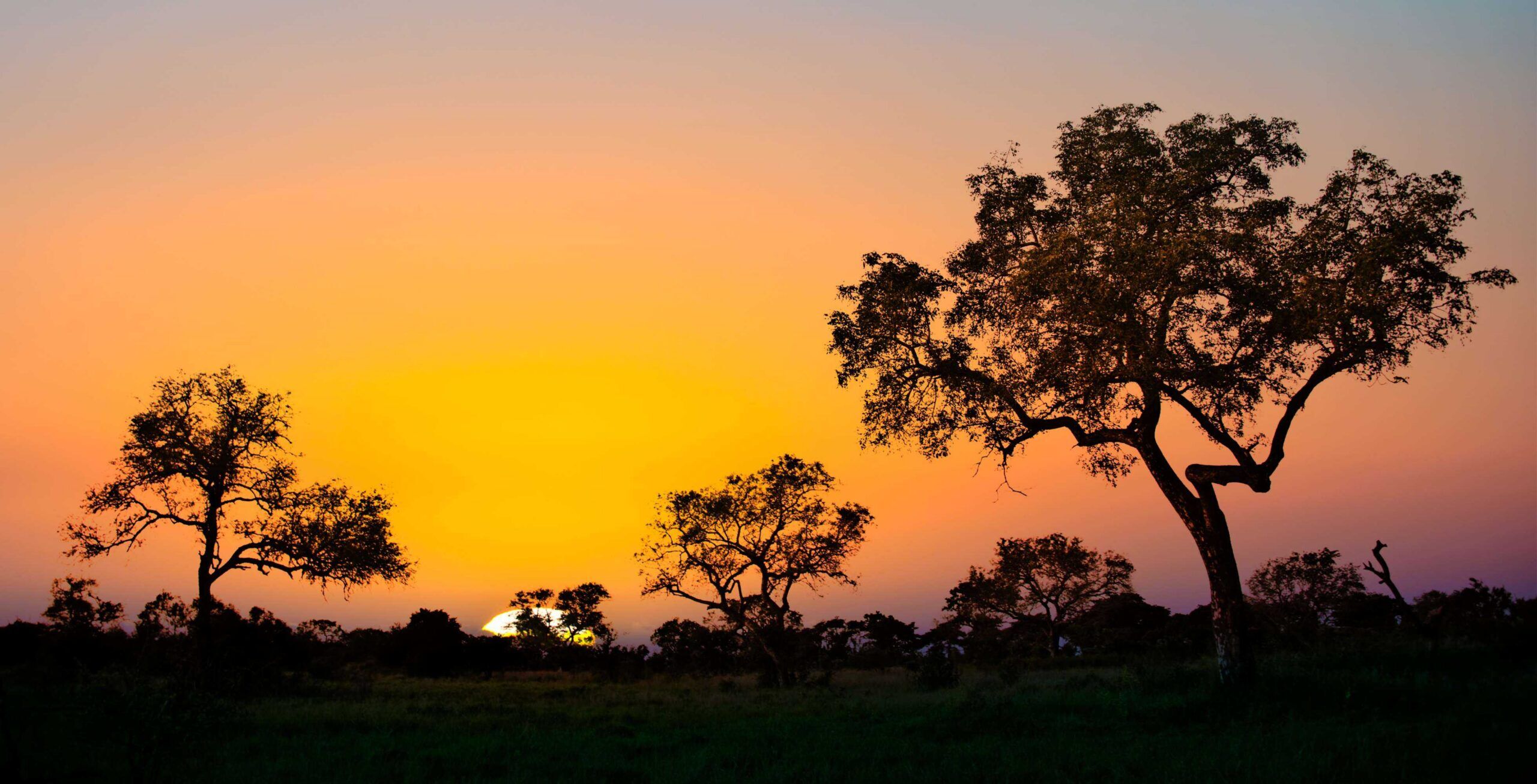 Rit van Hazyview naar Kruger National Park - Paul Kruger Gate
