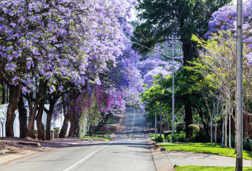 Pretoria - bezienswaardigheden en startpunt voor Kruger National Park